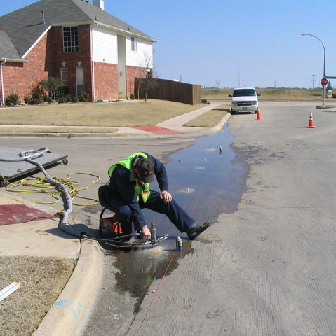 residential birdbaths